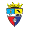 LLINARS, C.E. A